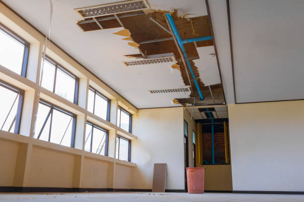 Best Professional water damage repair  in Kent City, MI