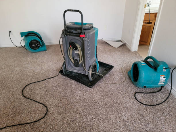 Water damage restoration process in Kent City, MI