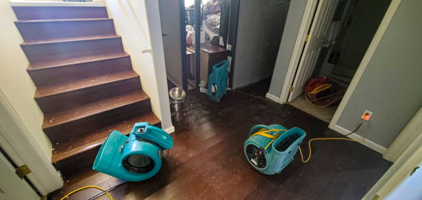 Best Water damage restoration specialists  in Kent City, MI
