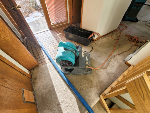 Best Carpet water damage restoration  in Kent City, MI