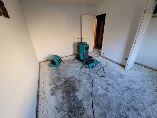 Best Flooded house restoration  in Kent City, MI