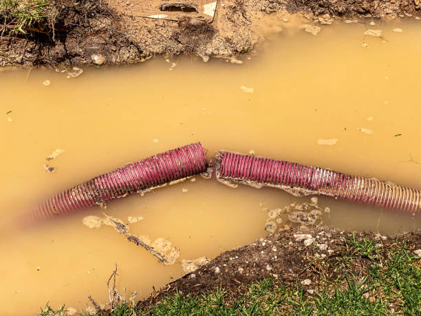 Kent City, MI Water damage restoration Company