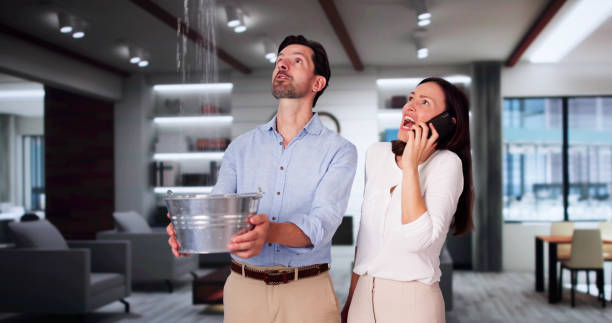 Best Water damage contractors near me  in Kent City, MI