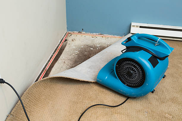Best 24/7 water damage repair  in Kent City, MI